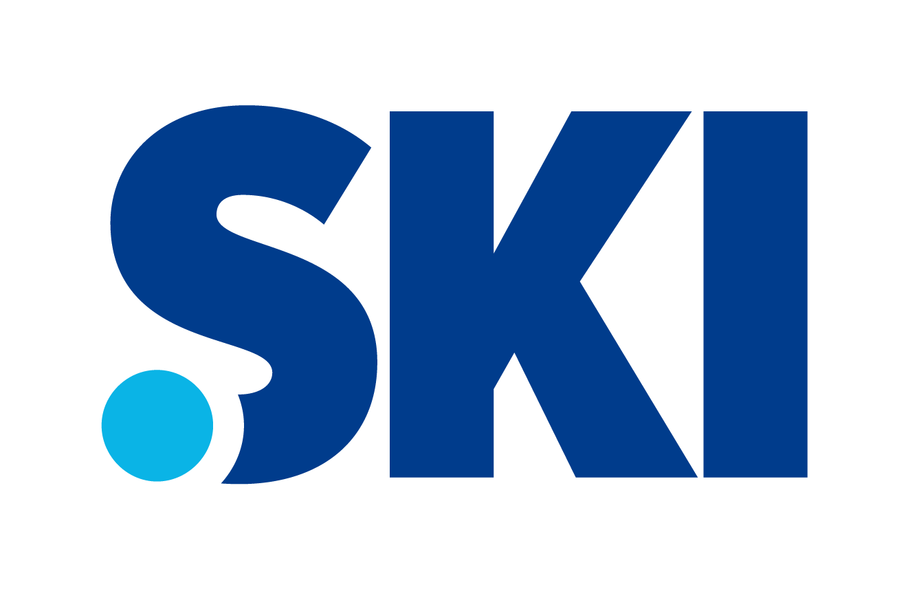 Logo der TLD .ski